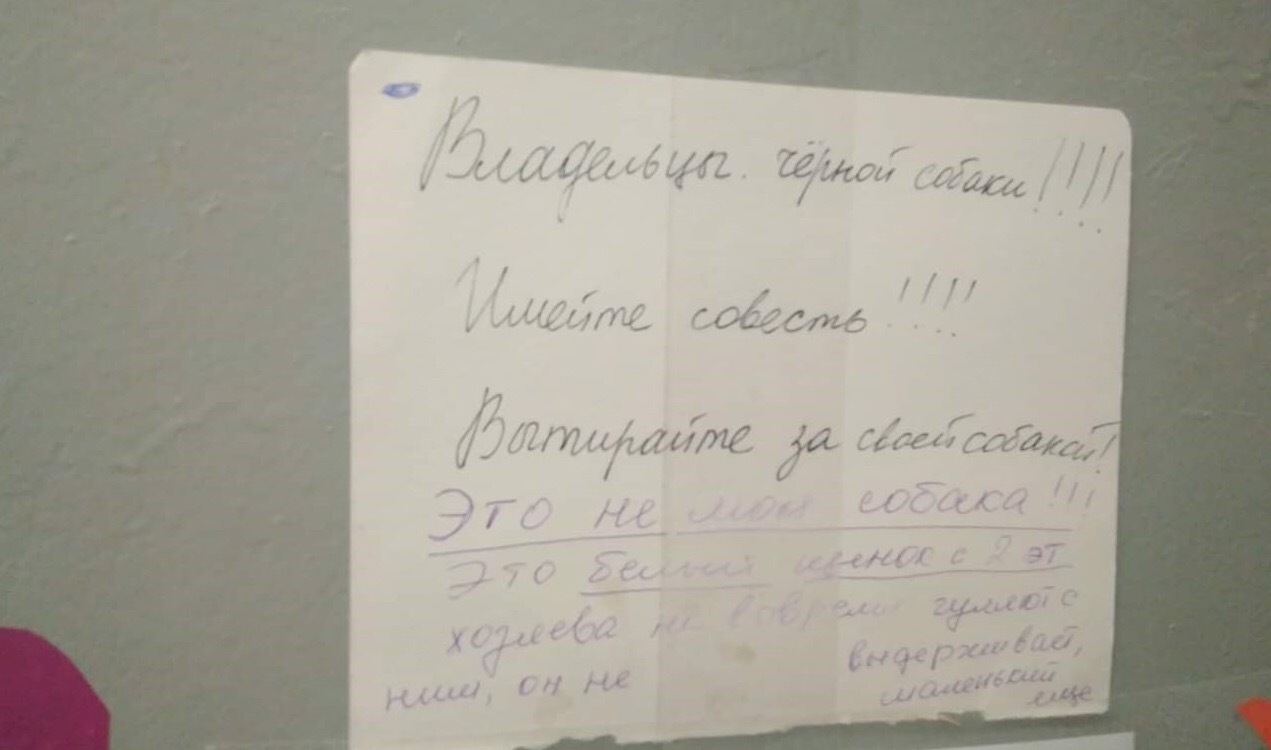 Written battles of one entrance near Moscow - Announcement, Dog, Neighbours