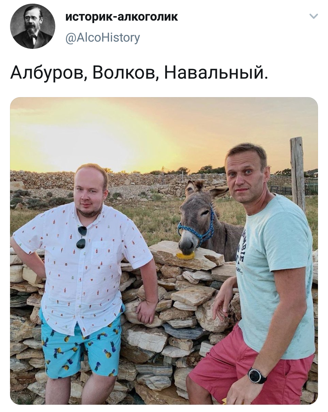 Wrestlers against the backdrop of sunset. - Politics, Alburov, Twitter, Humor, Alexey Navalny