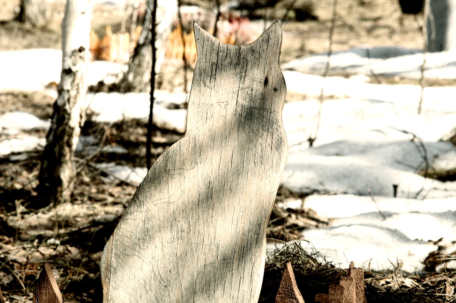 Cats are the gangsters of the animal world, living outside the law and dying the same way - My, Pet cemetery, Longpost, The photo, Chelyabinsk, Society, Stephen King Pet Sematary