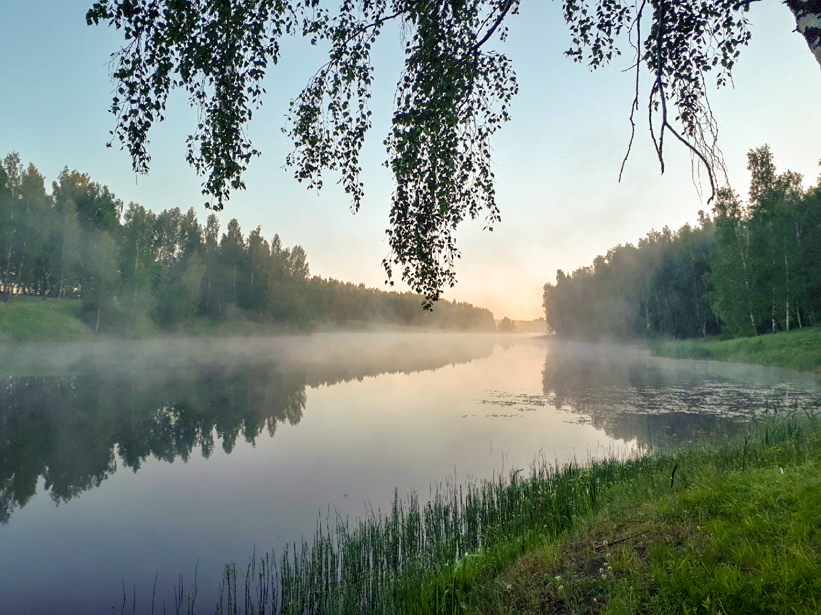 Fisherman's morning - My, Fishing, Nature, Summer, Landscape, Pond