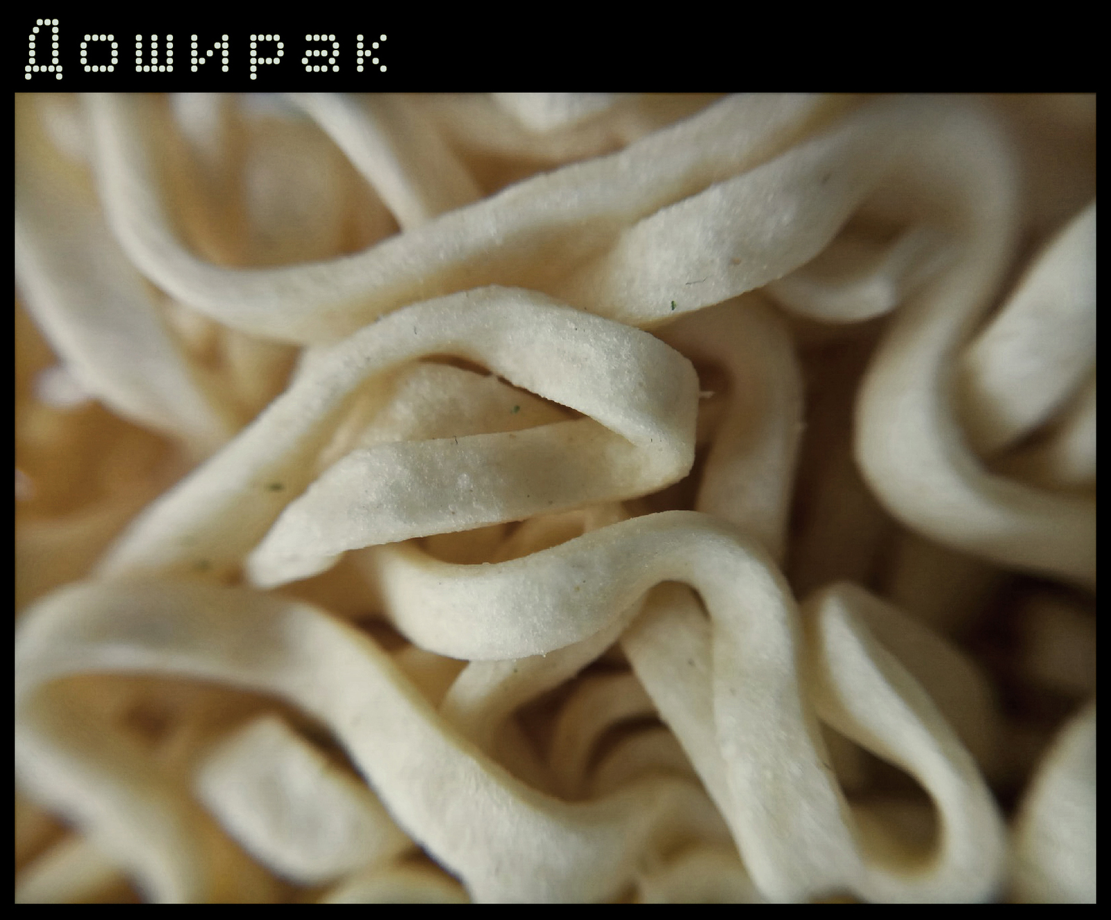 Noodle structure - My, Rollton, Doshirak, Bigbon, Mivina, Noodles, Beachpacket, Longpost