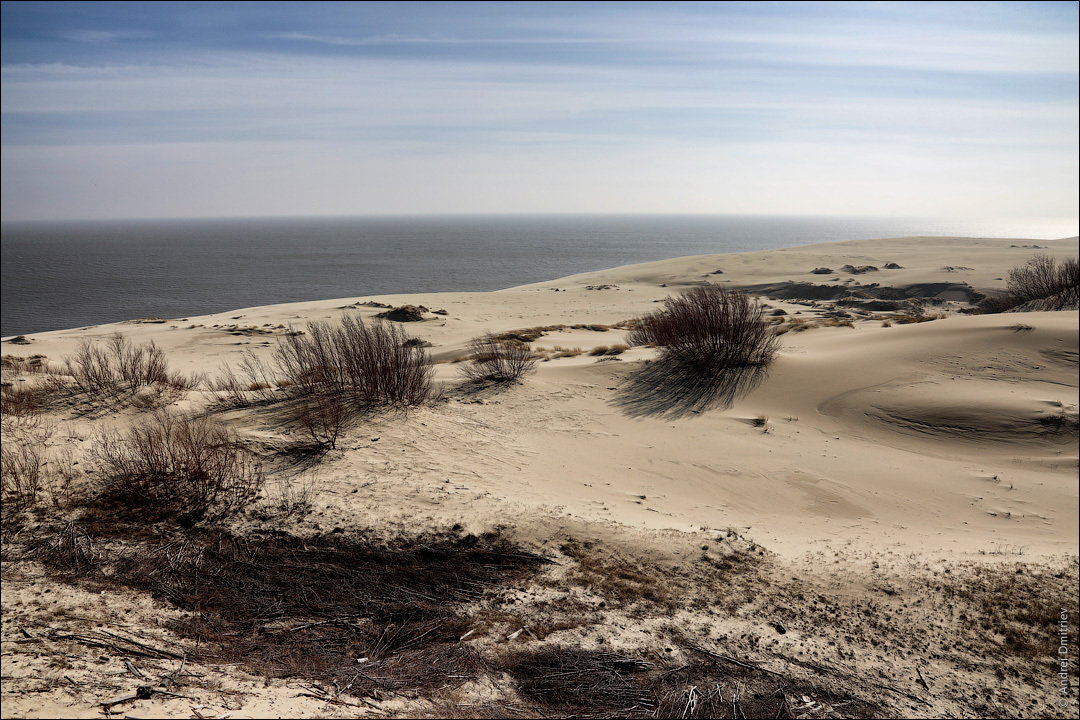 Photo walk: Curonian Spit, Russia - My, Photobritish, Travels, Russia, Curonian Spit, The photo, Desert, Longpost