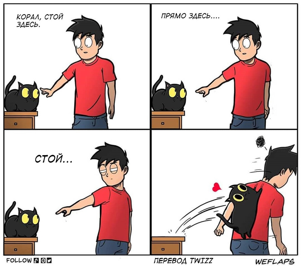 19 comics that demonstrate that life with a cat is a separate profession - cat, Comics, Longpost