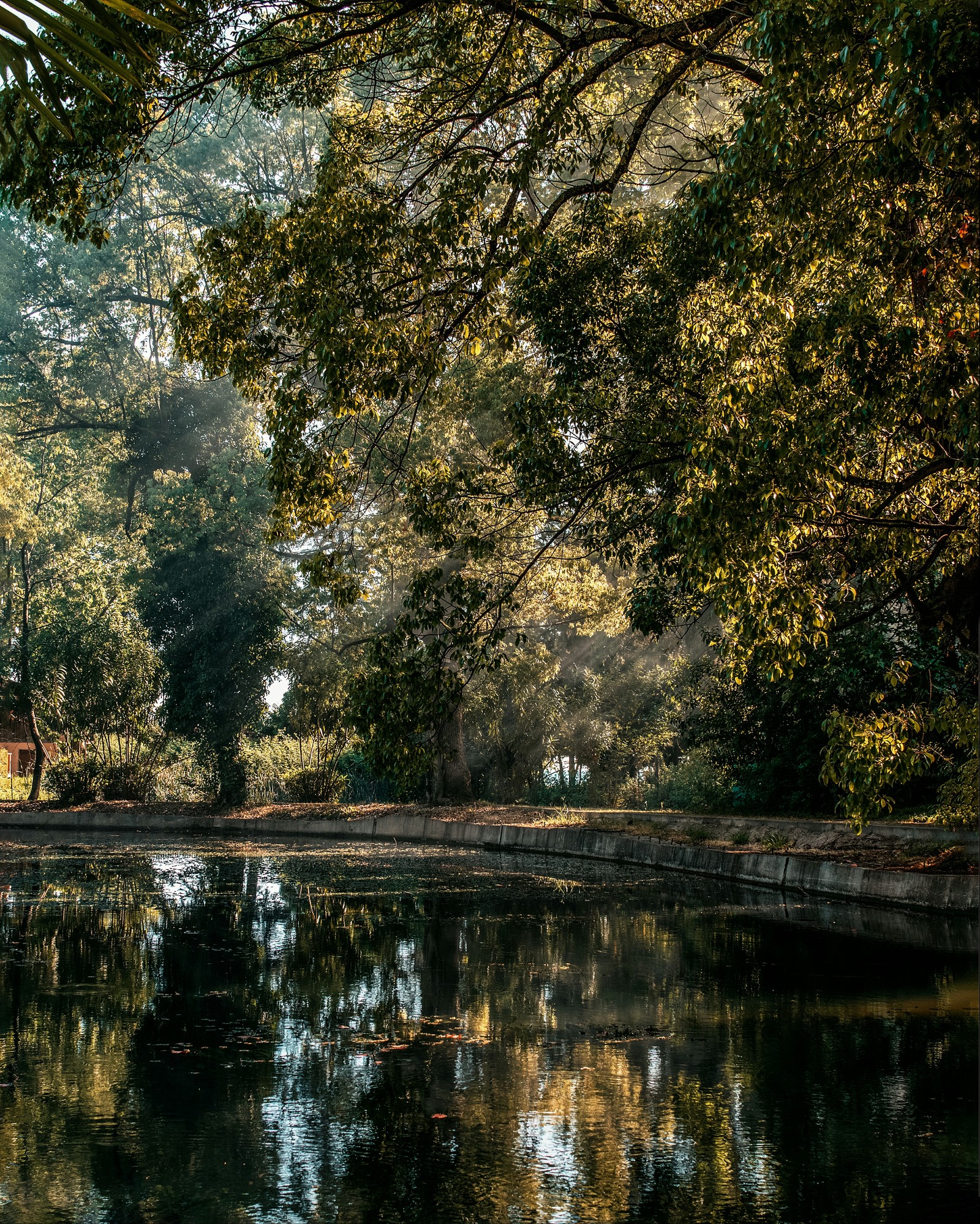 A bit of Abkhazia - My, Abkhazia, The photo, Relaxation, Longpost