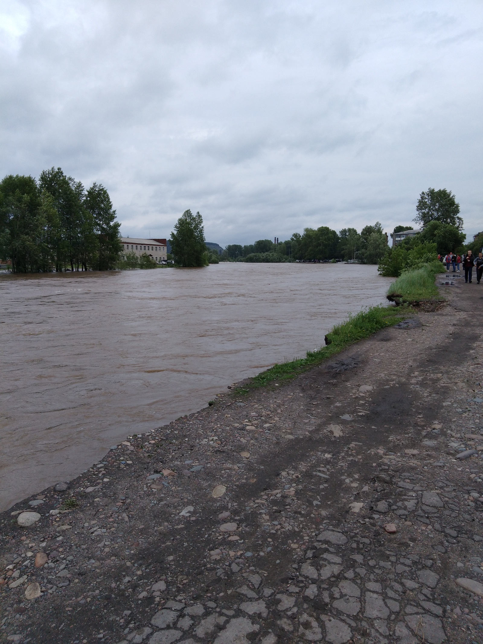 Flooding in Nizhneudinsk 26.06. 2019 - My, Nizhneudinsk, Flood, River
