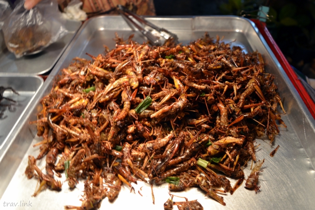 Locusts again attack the south of Russia and an easy way to deal with it - Locust, Astrakhan, Volgograd, Thailand, Video, Longpost