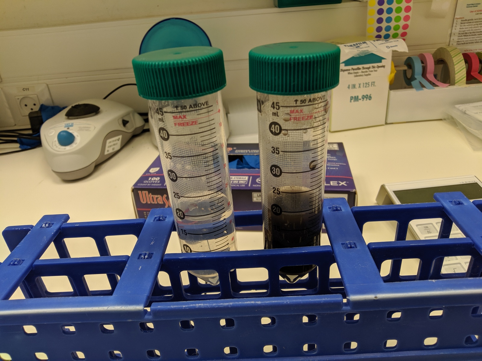 Isolation of nematodes from the roots of infected plants - My, Nematodes, Laboratory, The science, Biology, Longpost