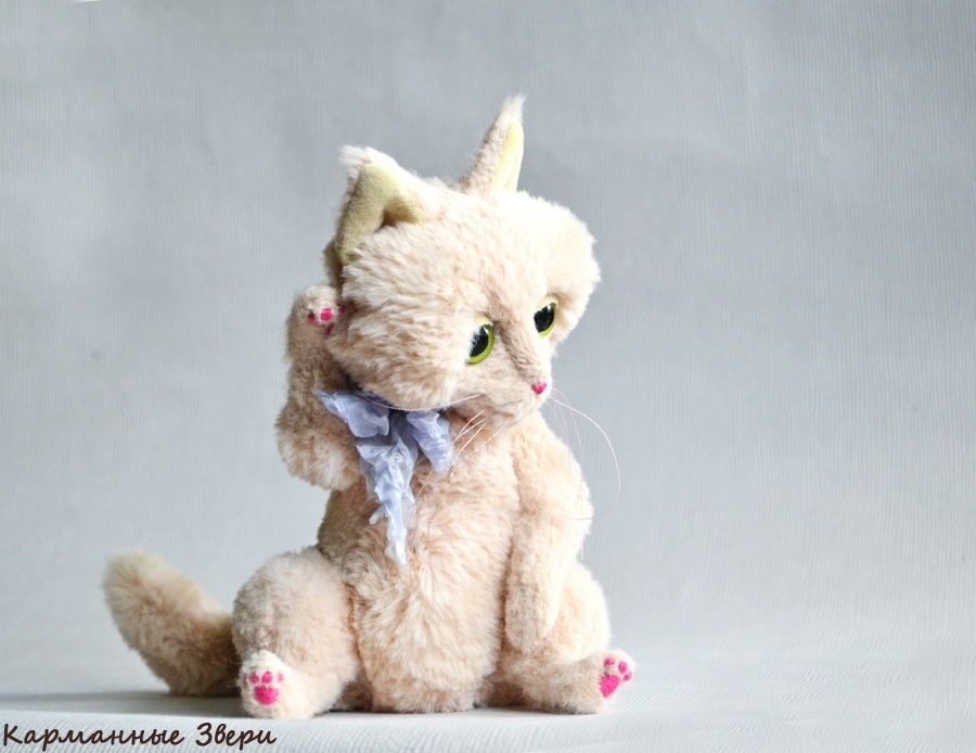 Julius cat - My, Pocket animals, Handmade, Author's toy, Needlework without process, Longpost, cat