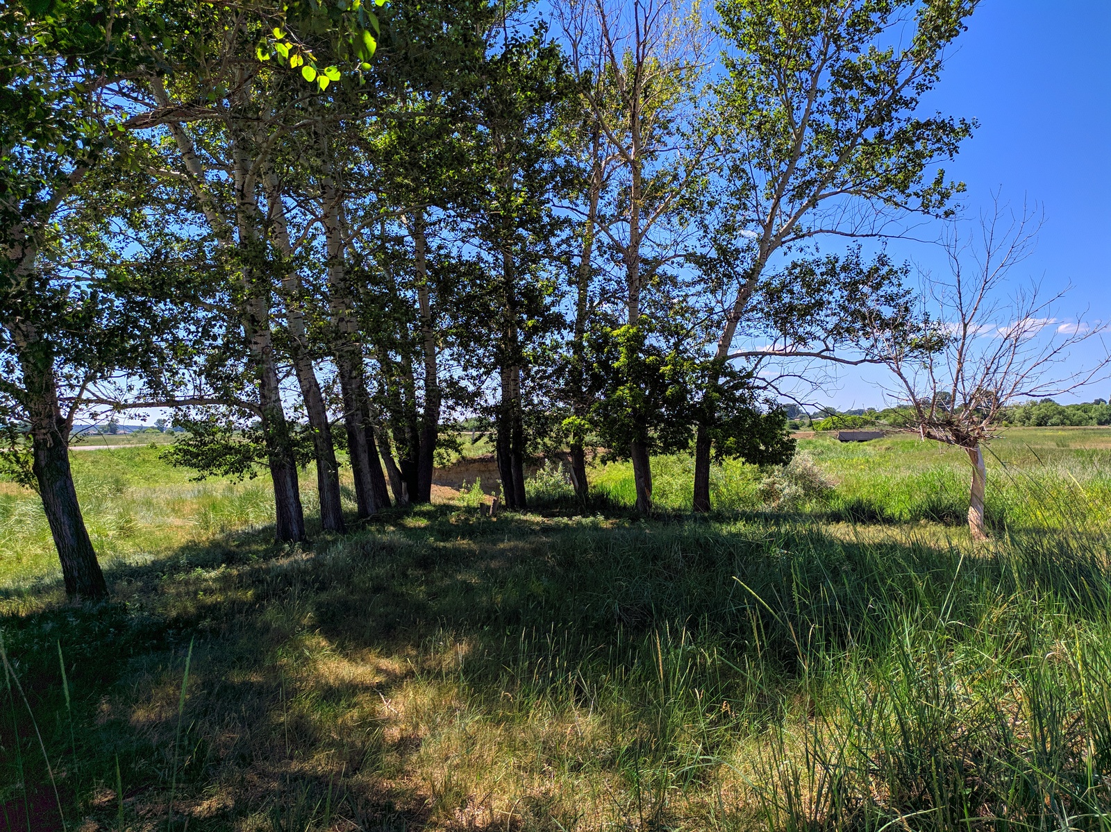 Nature of East Kazakhstan part 2. Borodulikha region. - My, The photo, Kazakhstan, East Kazakhstan, Irtysh, Longpost