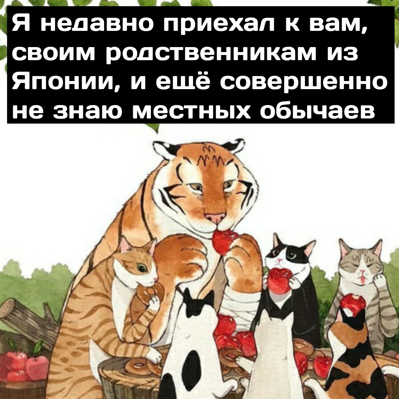 Смешные картинки про родню