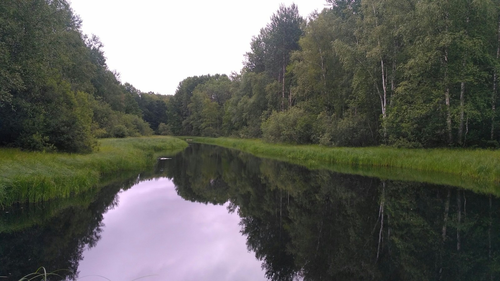 Weekends are not always needed for relaxation. - My, Walk in the woods, Weekend, Pieces of wood from Sasha, Longpost