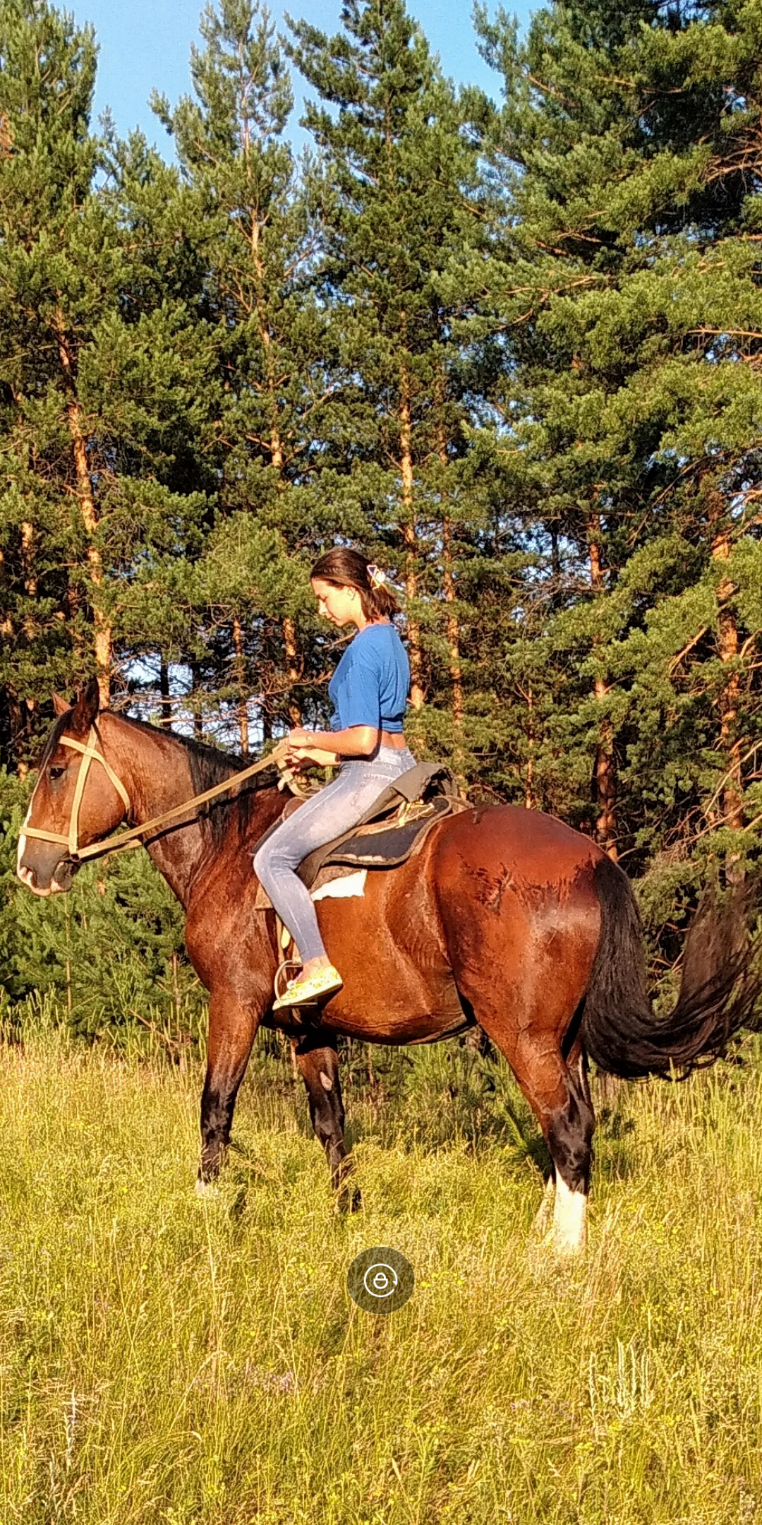 Дневник пастушки - Моё, Лошади, Пастух, Подработка, Село, Природа, Животные, Мат, Длиннопост