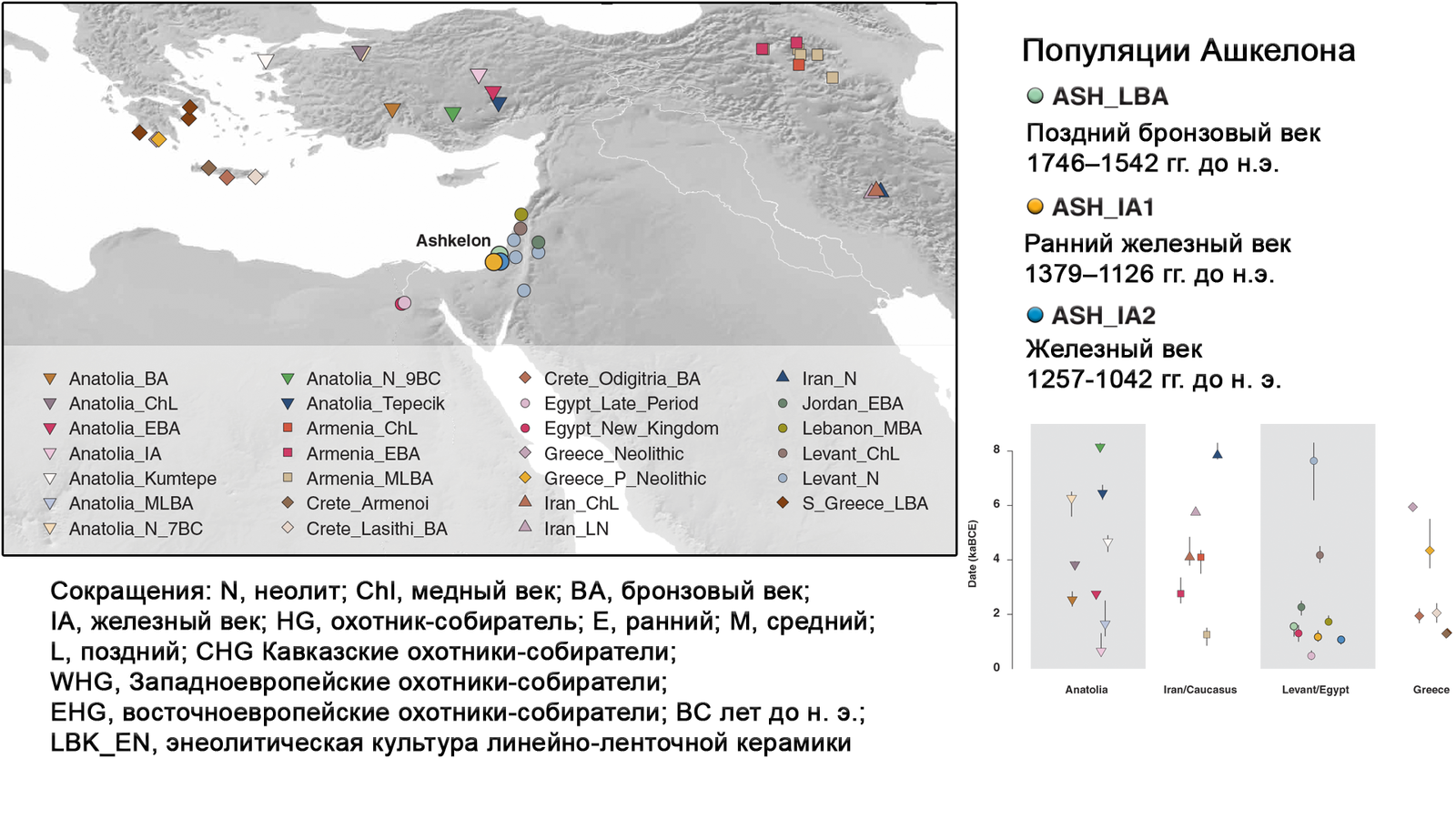 European Genetic Roots of the Philistines of the Early Iron Age - My, Video, Longpost, The science, Archeology, Paleogenetics, Philistines, Story, DNA, GIF