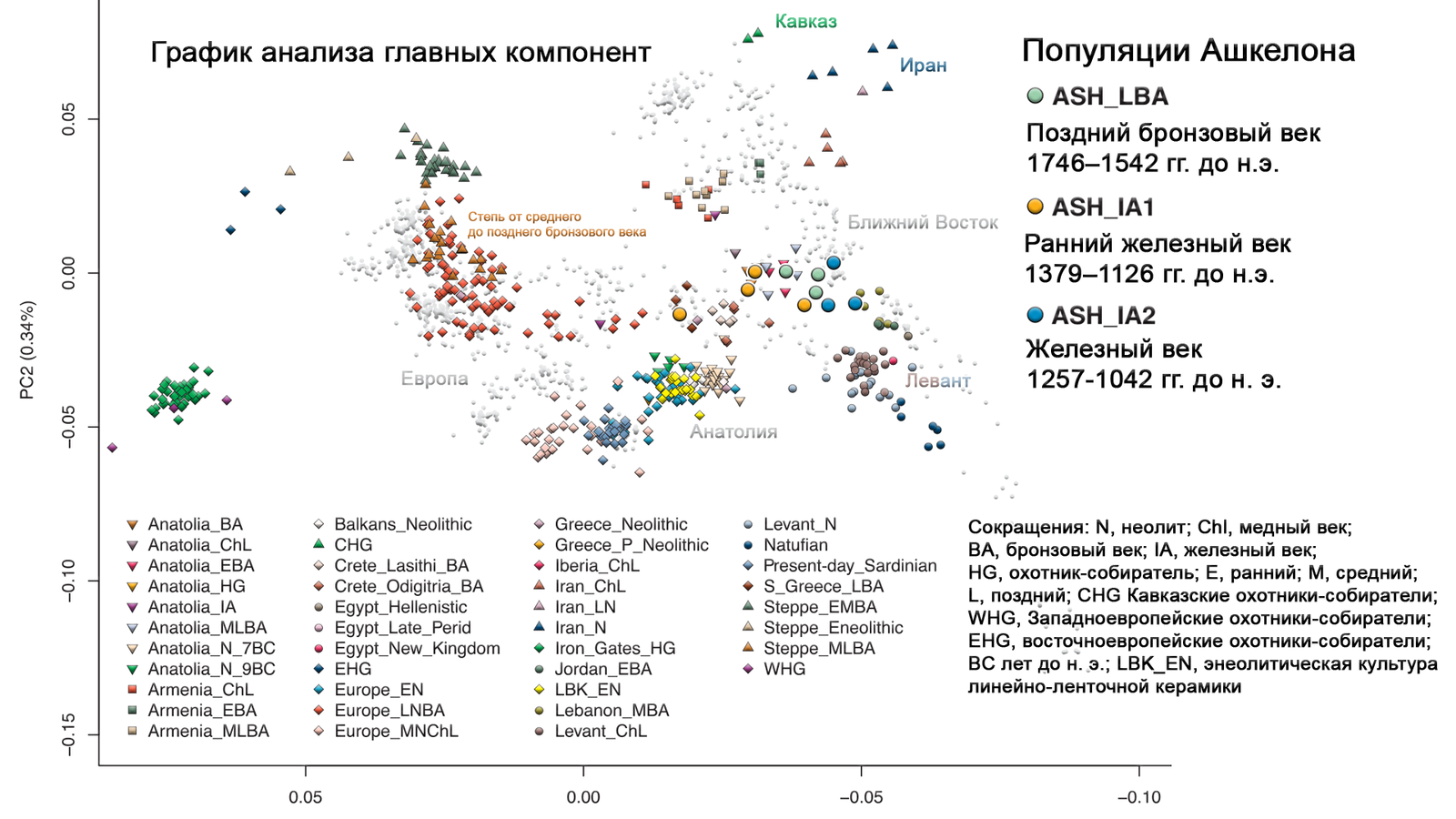 European Genetic Roots of the Philistines of the Early Iron Age - My, Video, Longpost, The science, Archeology, Paleogenetics, Philistines, Story, DNA, GIF