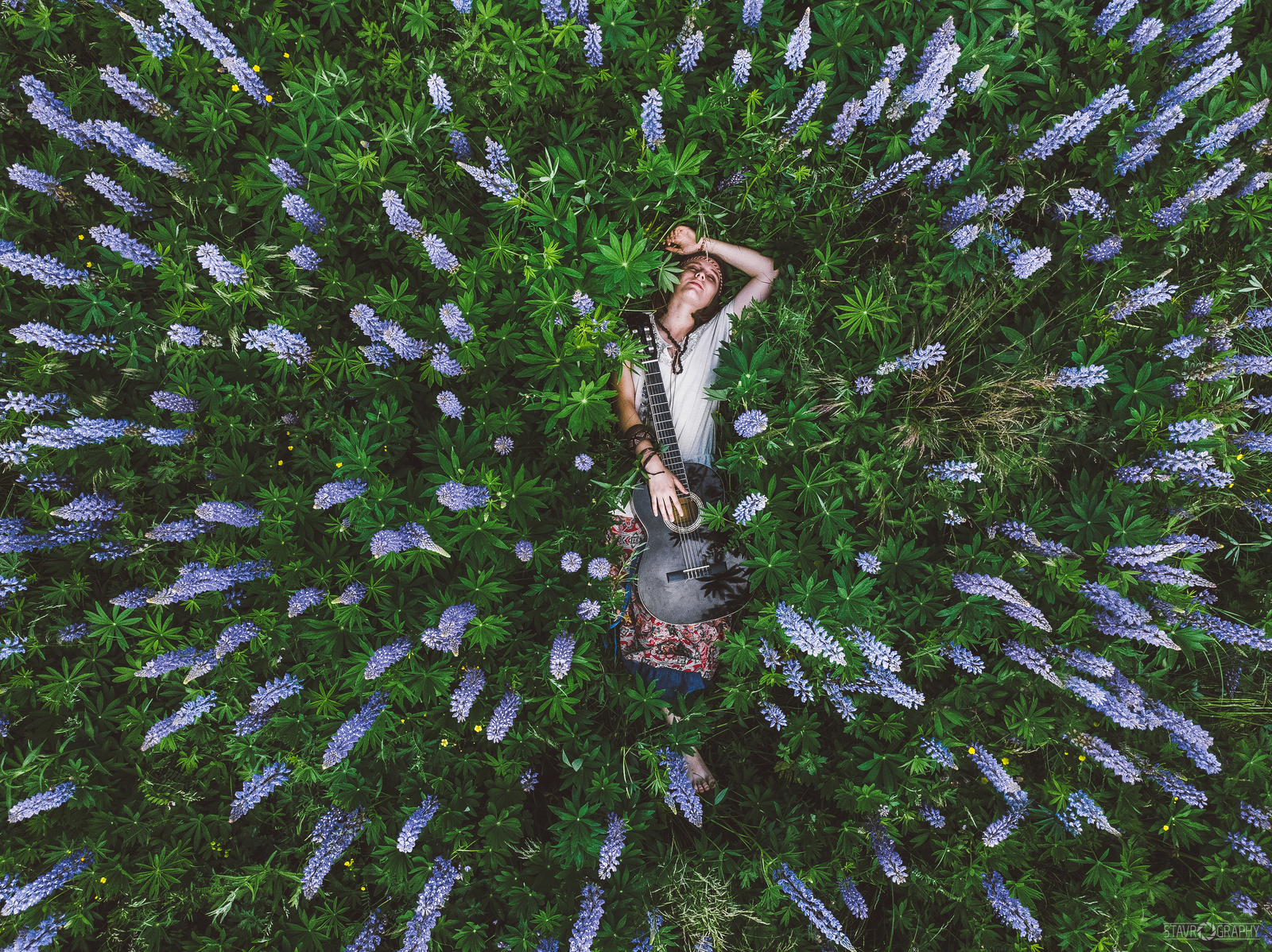 lupine field - My, Quadcopter, DJI Mavic Air, The photo, Portrait, Lupine