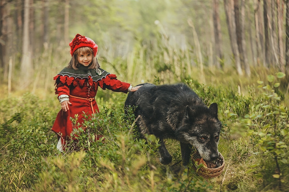 New colors in an old story - Little Red Riding Hood, PHOTOSESSION, Cosplay, A selection, Wolfhund, Dogs and people, Longpost