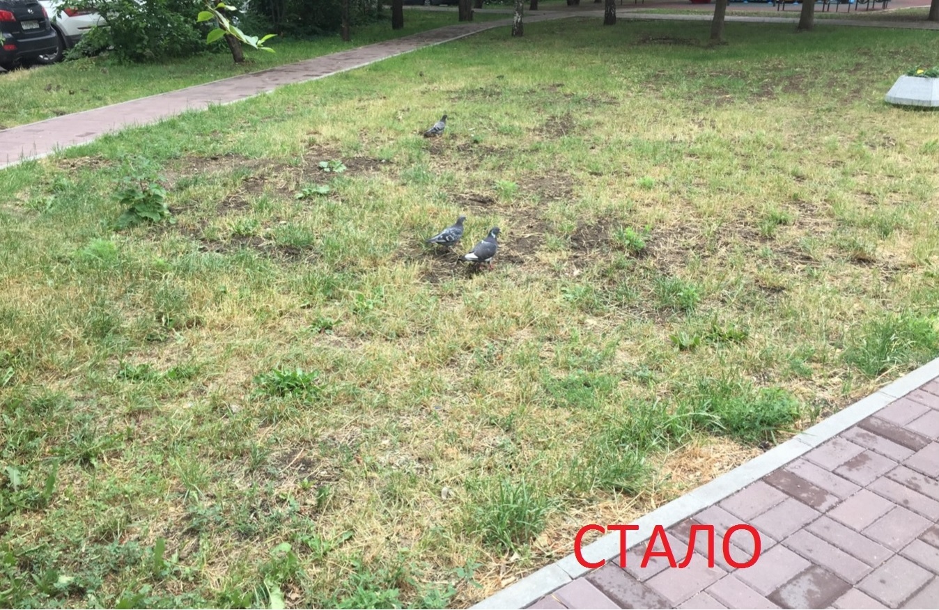 How the Government of the Maryino district of Moscow destroys yards - My, Maryino, Council, Courtyard, Playground, Prefecture, Longpost