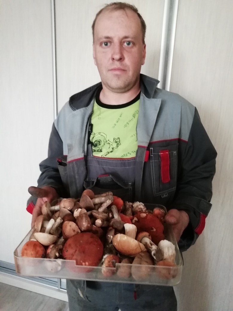 The second wave of mushrooms in Yaroslavl. - My, Mushrooms, Porcini, Summer, Forest, Mushroom pickers, Longpost