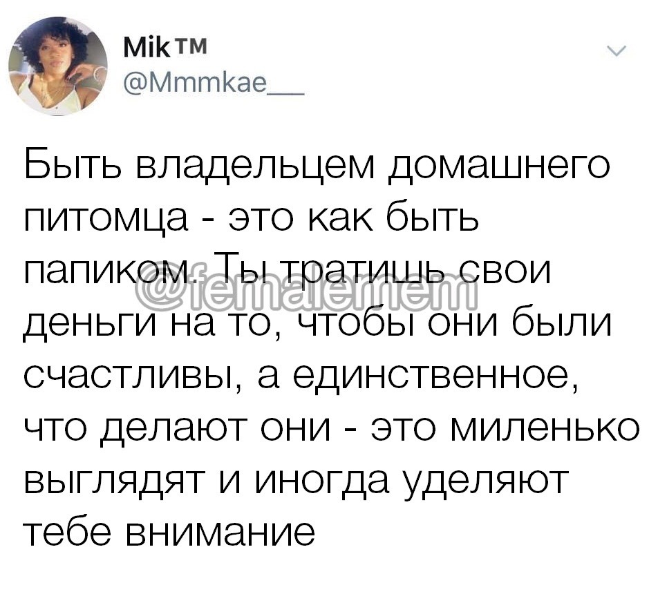 Киса и папик - Отношения, Домашние животные, Питомец, Внимание, Хозяин