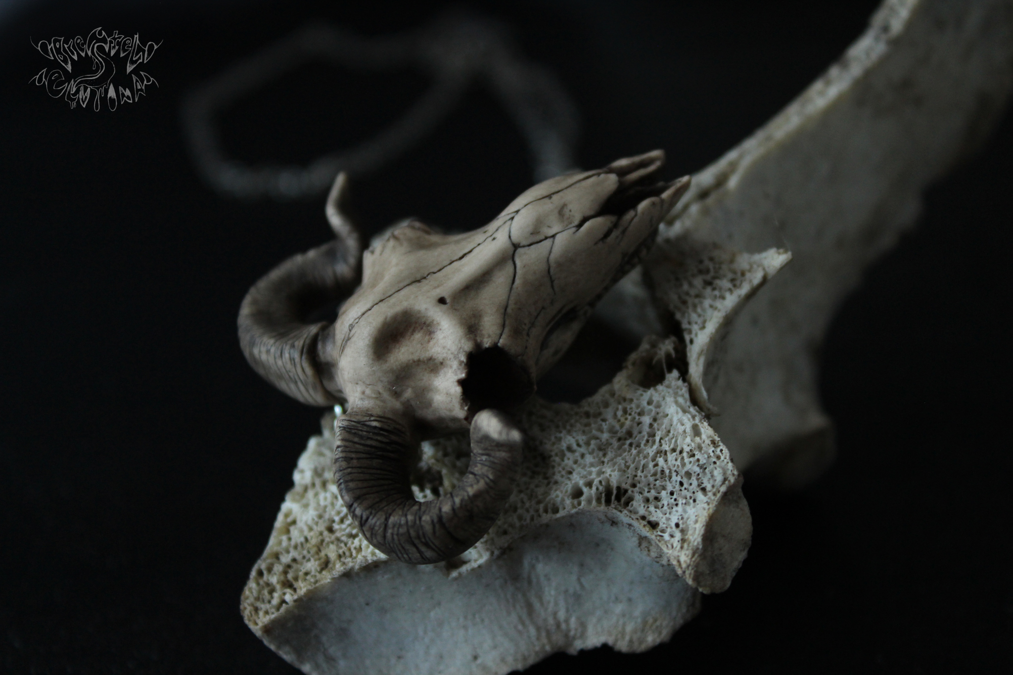 Sheep skull made of polymer clay - My, Polymer clay, , Scull, Needlework without process, Longpost