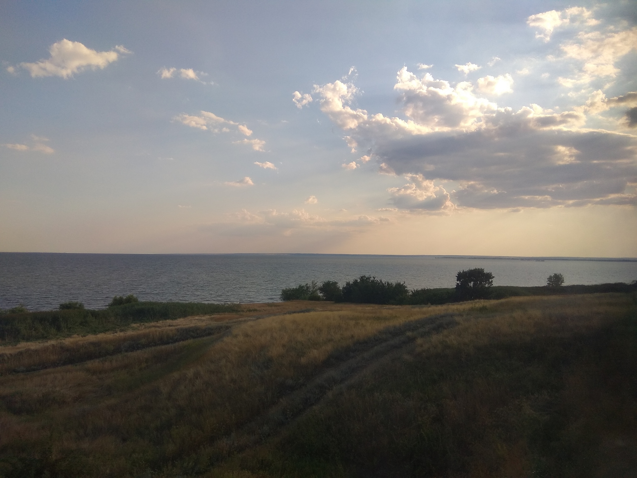 Serenity - My, The photo, Summer, Landscape, Serenity, Open spaces, A train, Longpost