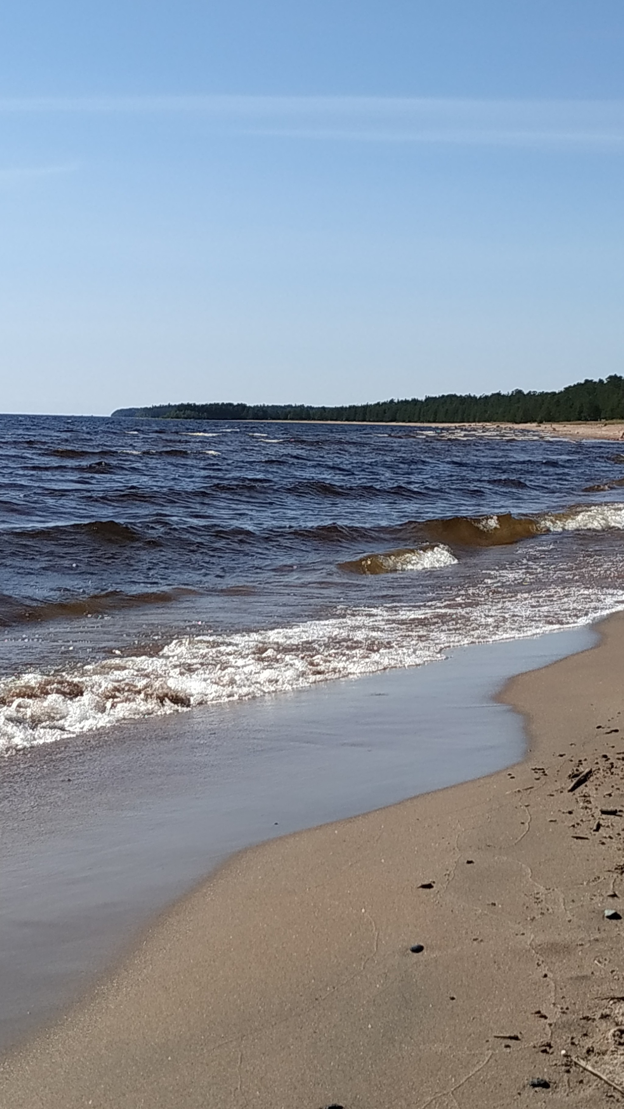 Ладожские пейзажи - Моё, Ладога, Карелия, Озеро, Природа, Красота природы, Лето, Пляж, Сосна, Длиннопост