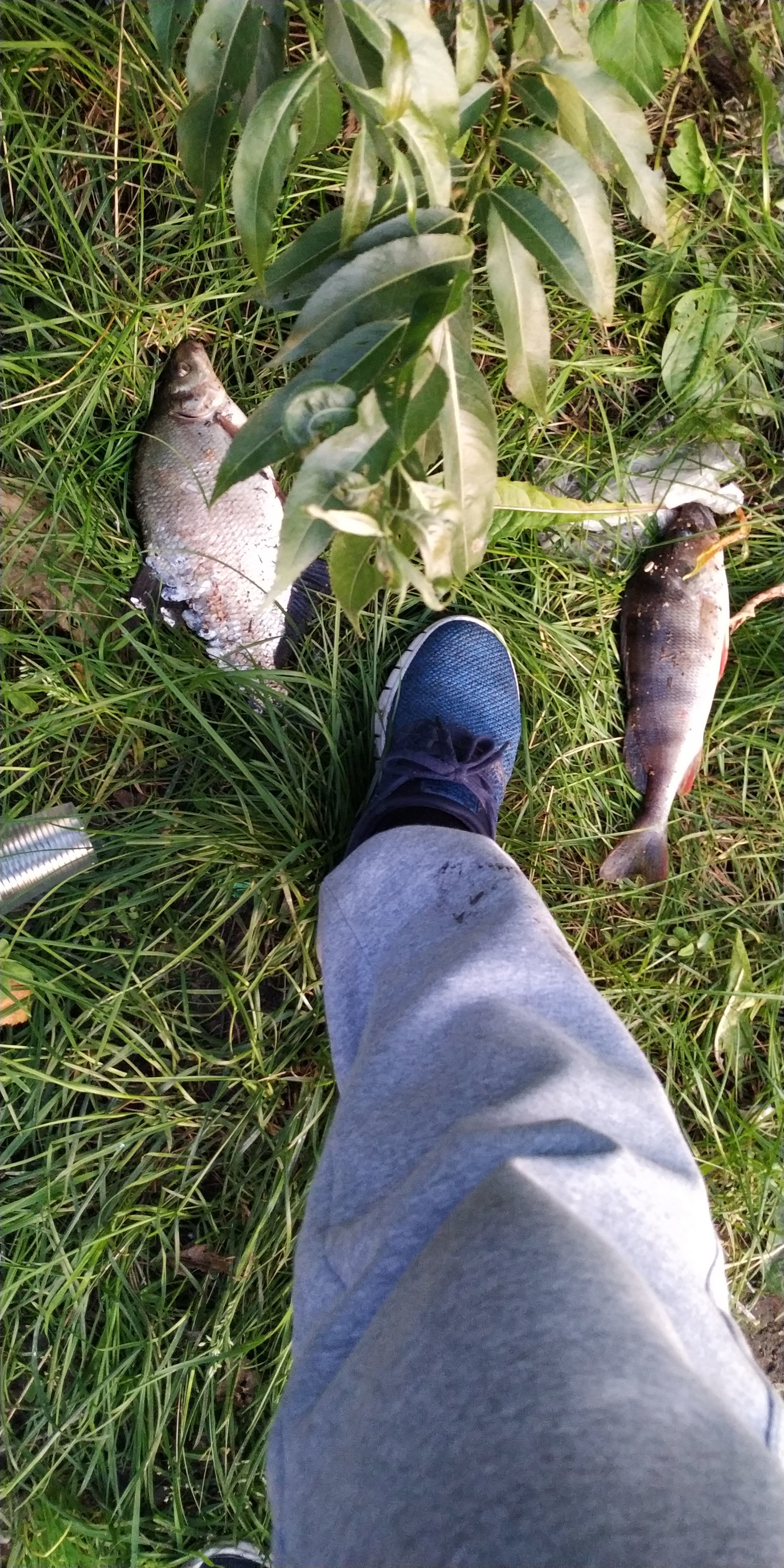 Fishing on the Moscow River - My, Fishing, , Fishermen, Longpost, Moscow River