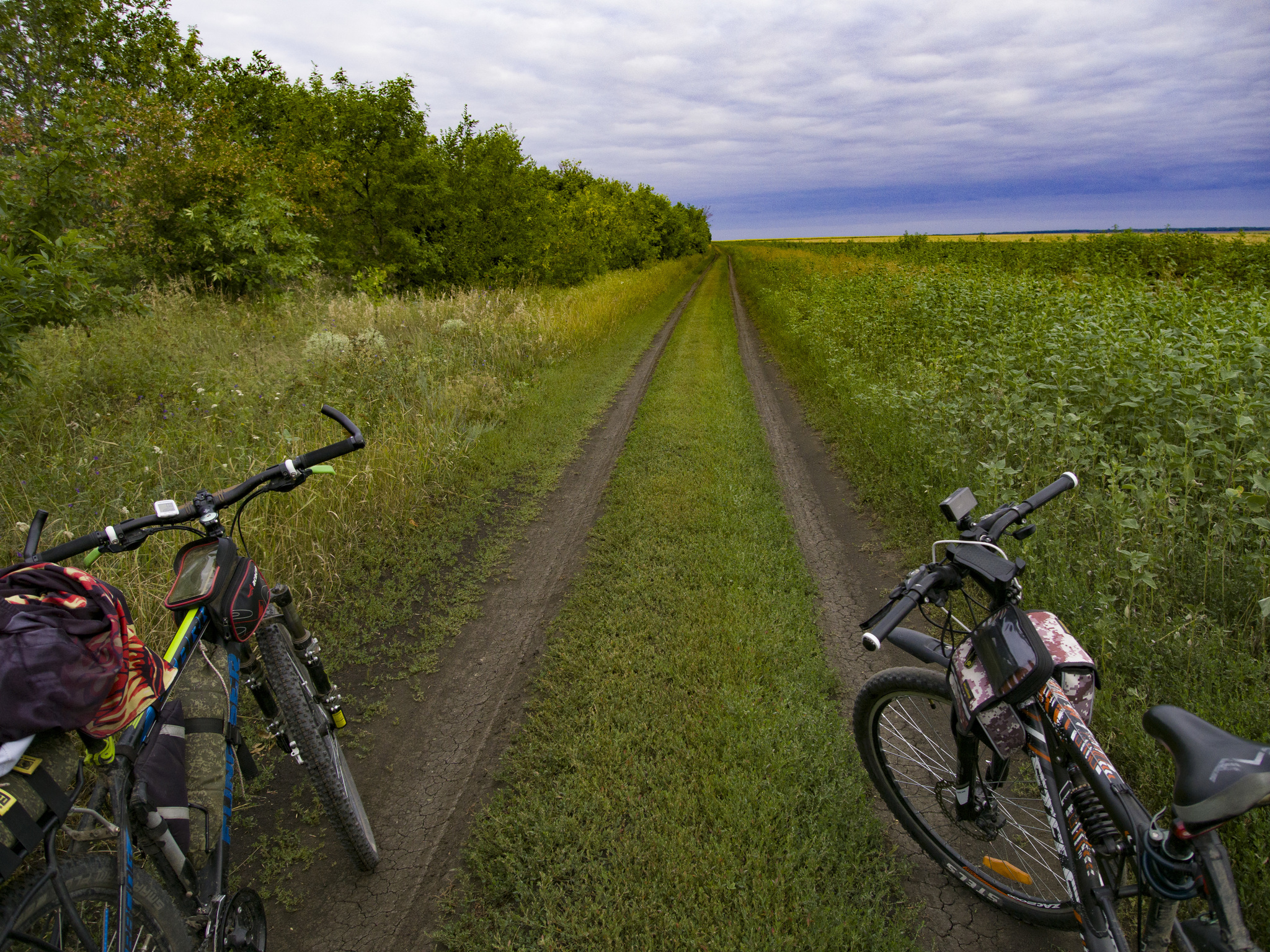 Bicycle ride for work for 120 km. - My, Bike ride, Abandoned, Longpost