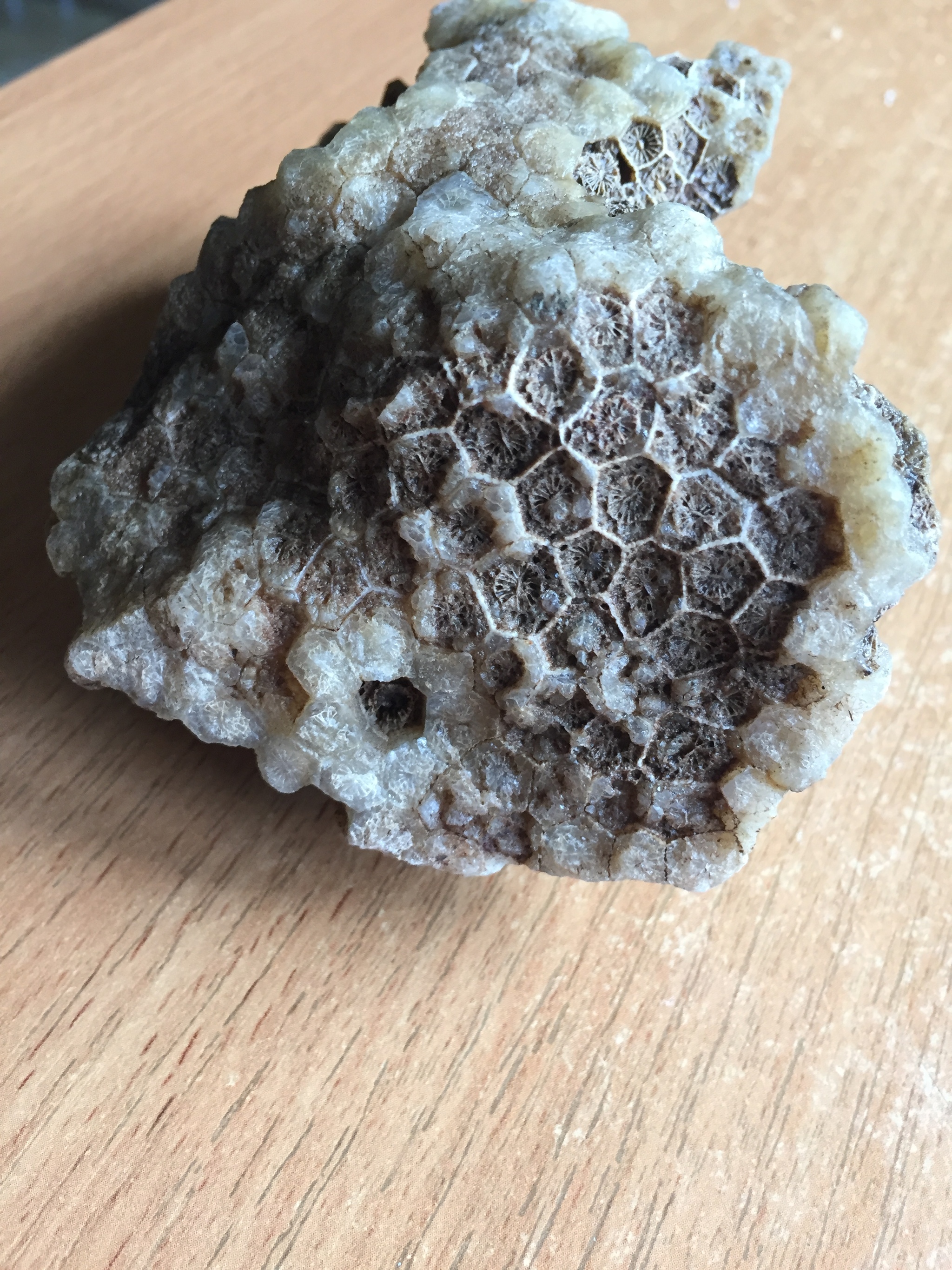 Interesting stone in the form of honeycombs - My, Natural stones, Bees, Longpost