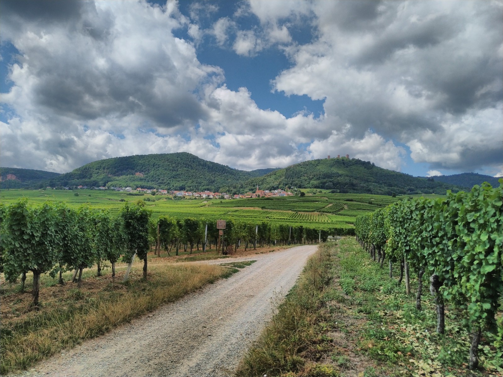 Alsace, France, wine - My, France, Alsace, Wine, Travels, The photo, Longpost