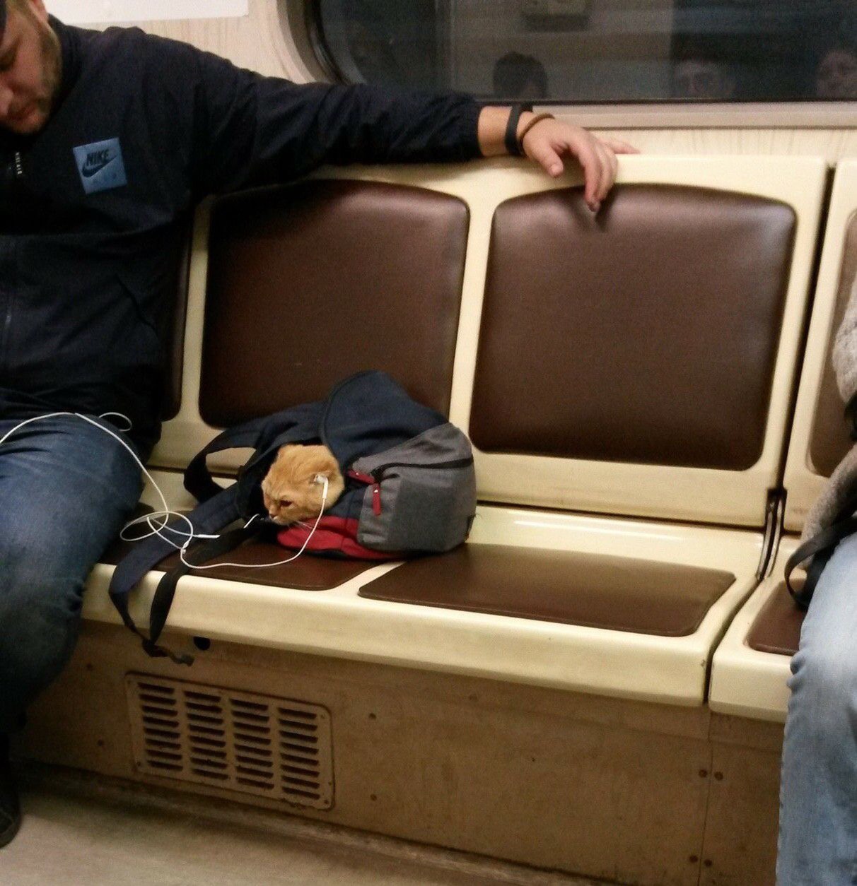 Meanwhile in the Moscow Metro - Moscow, Metro, cat, Headphones, Music