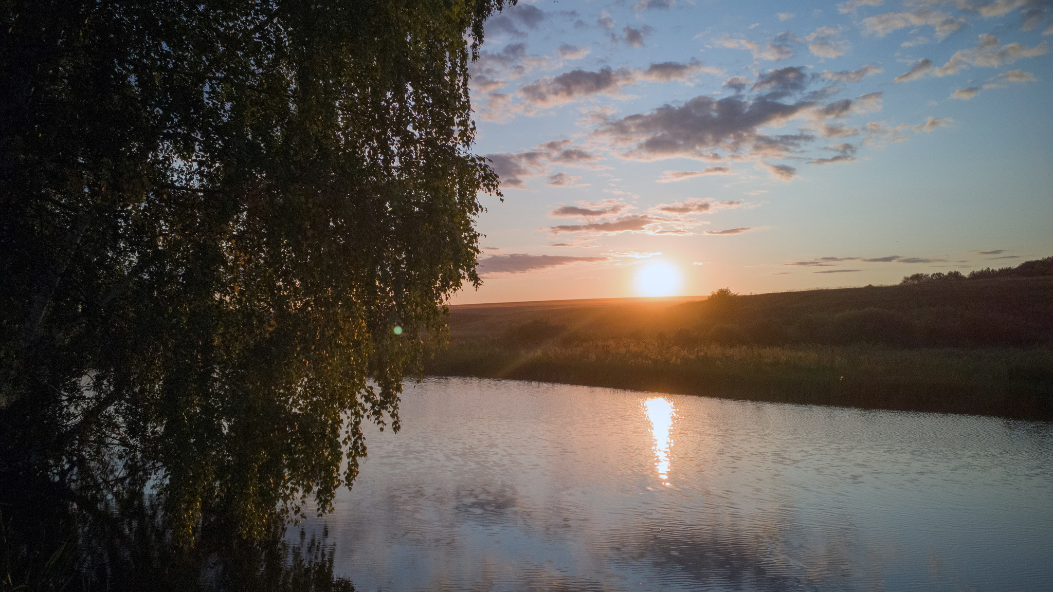 A little serenity - My, Beginning photographer, Mobile photography, Nature, Tula region, Longpost, Serenity