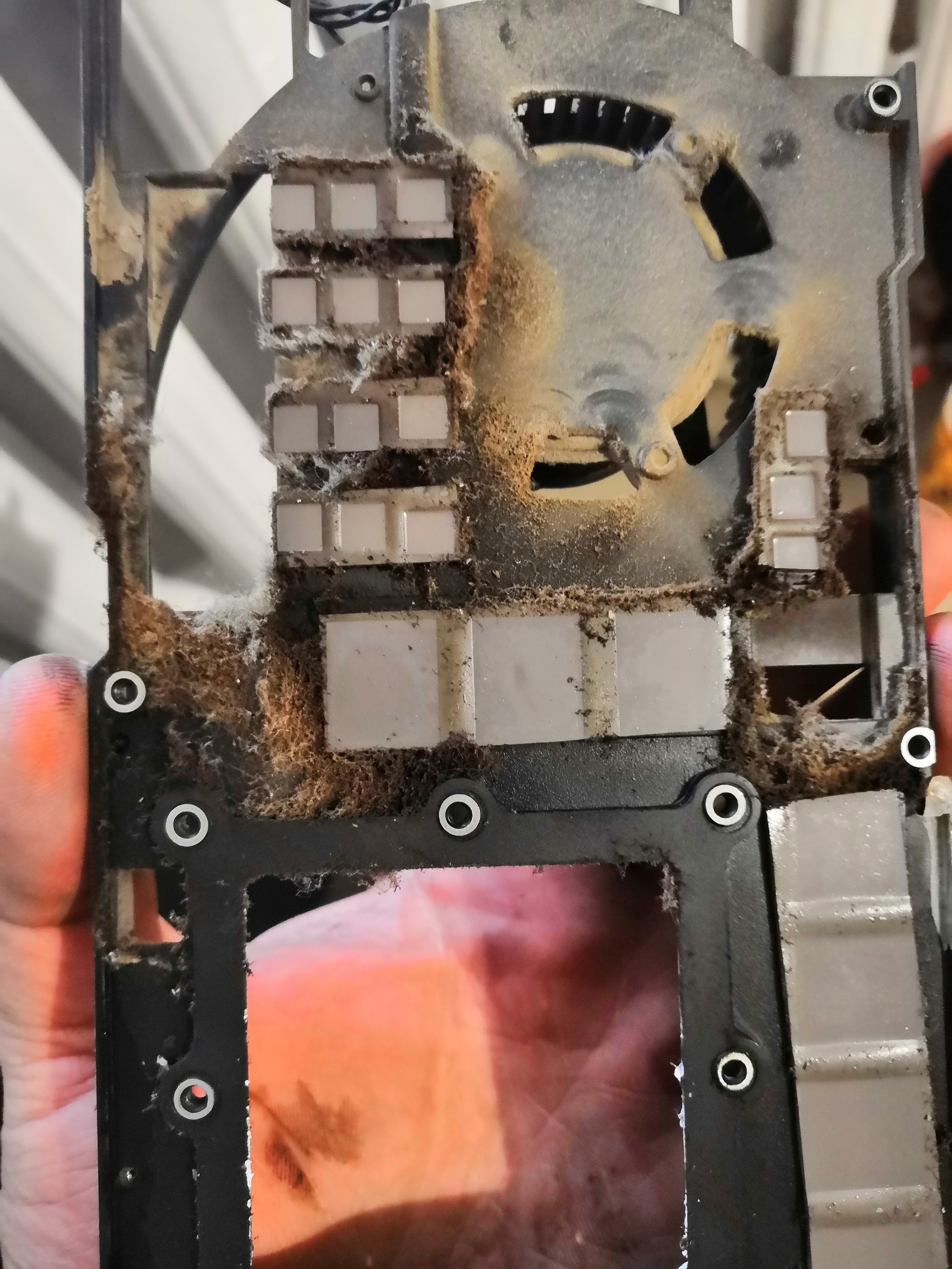 Видеокарта курильщика | Пикабу