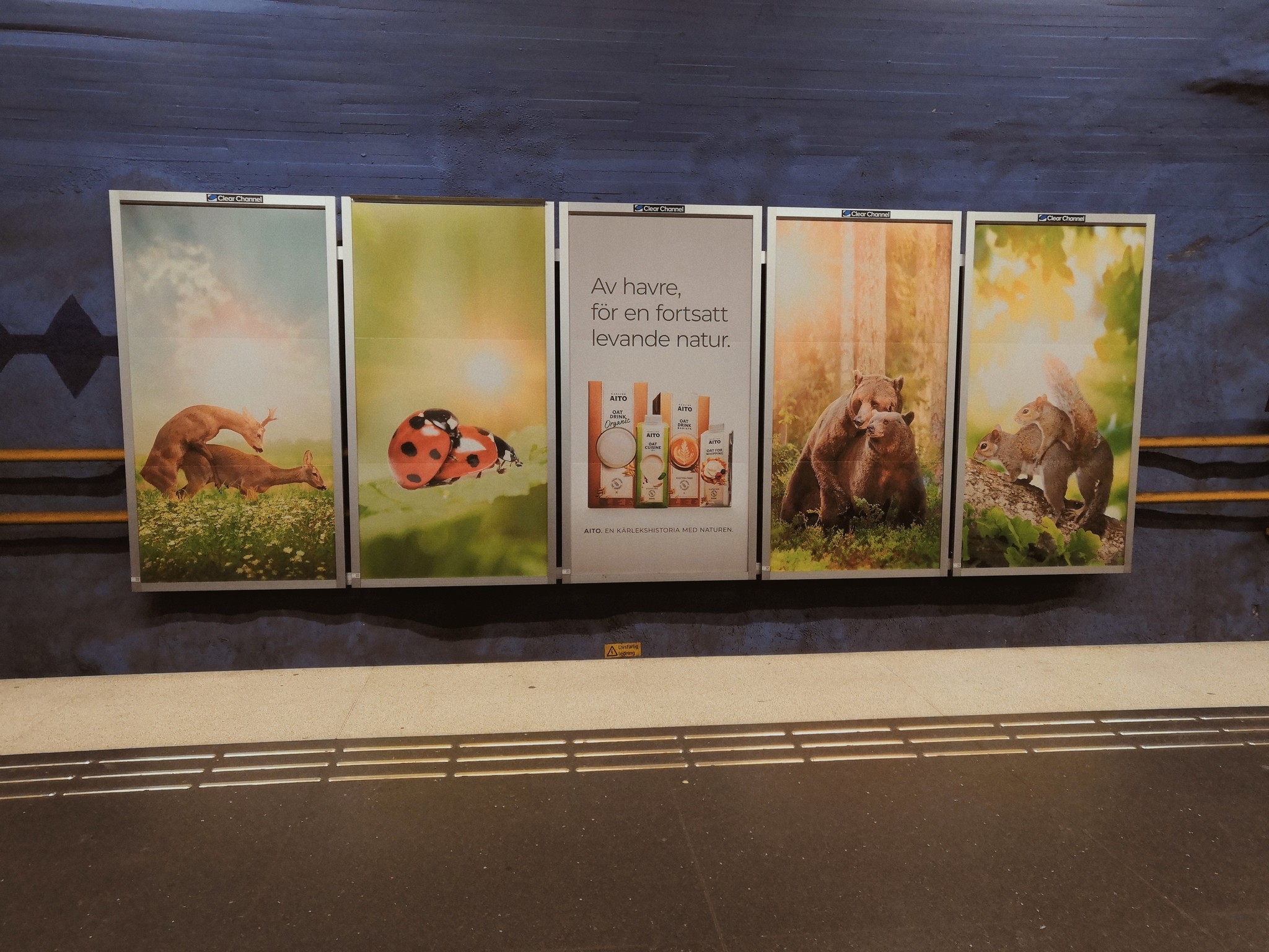 Advertisement for oat milk in the Swedish metro. Stockholm - My, Metro, Sweden, Animals, Milk, The Bears, Deer, Stockholm, Deer