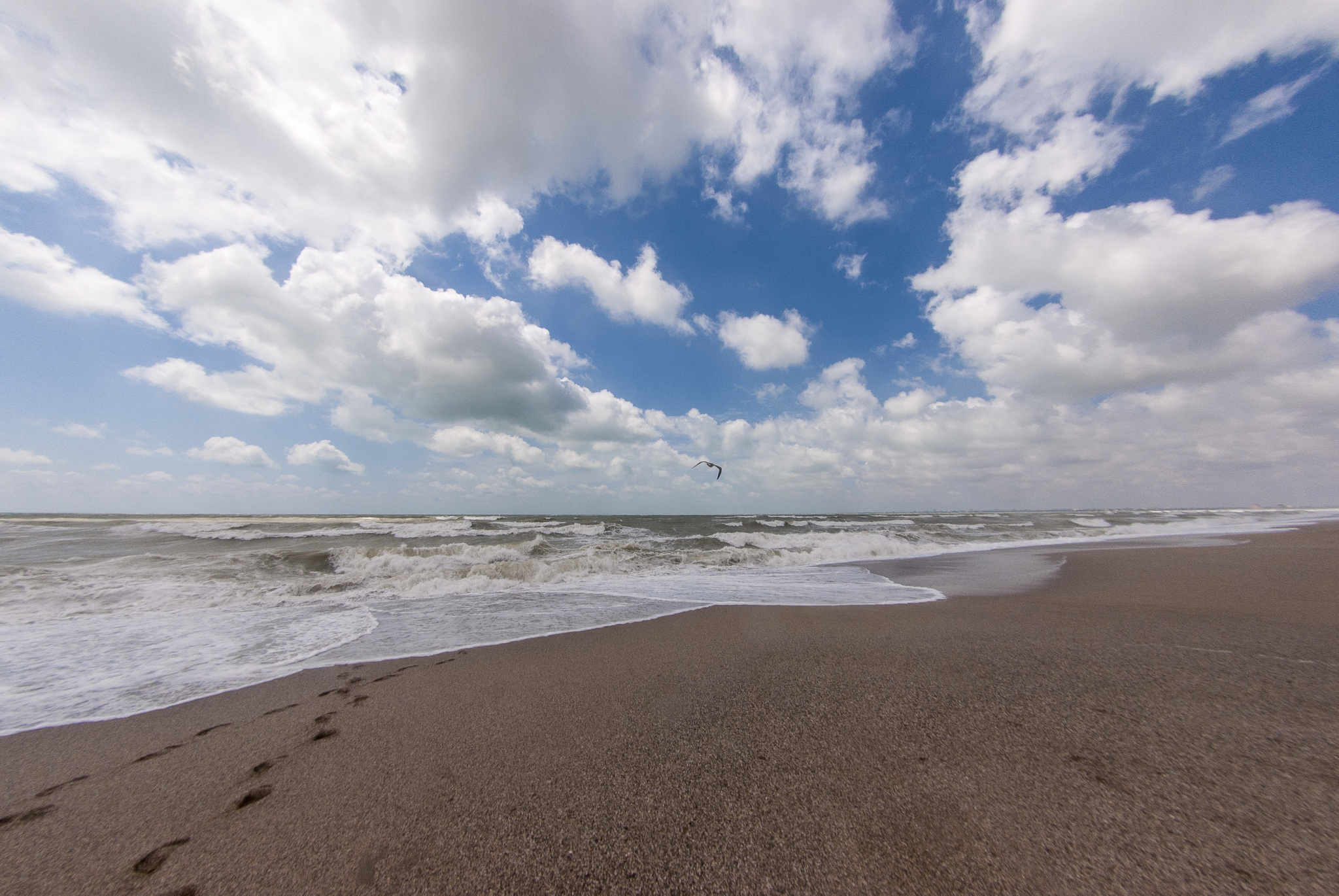 Surf - My, Sea, The photo, Longpost, Nikon D40