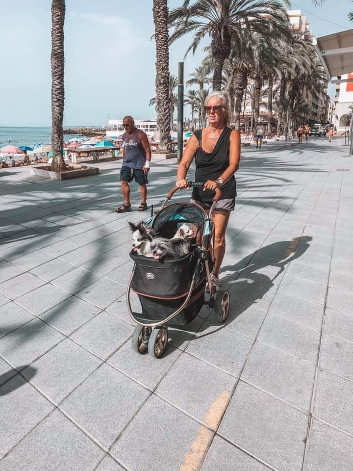 Dog stroller - My, Spain, Walk, Dog, Dogs and people, Stroller