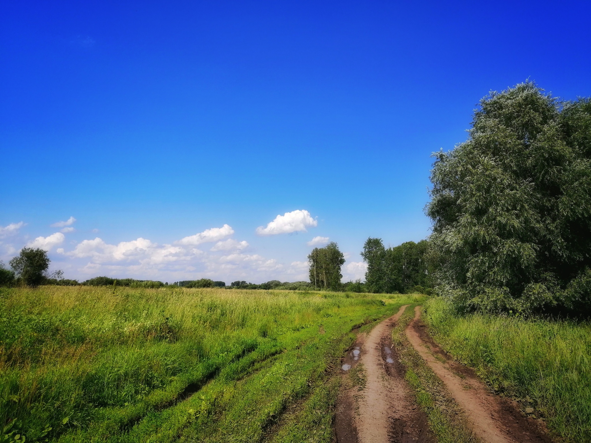 Я немножечко фотограф - Моё, Мобильная фотография, Природа, Хобби, Длиннопост