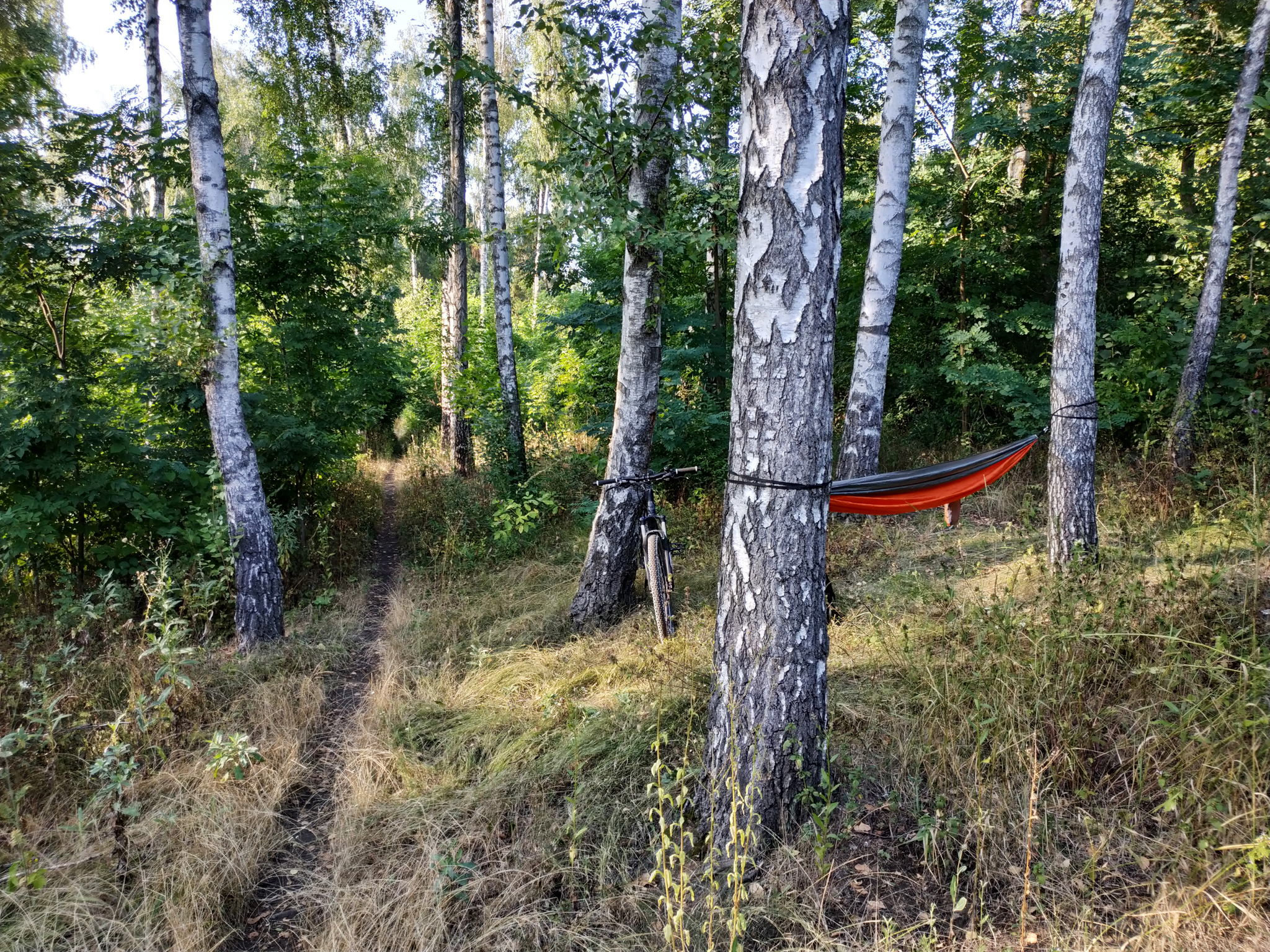 Camping hammock - My, Hammock, Discounts, Comfort, Quality, Hike, China, Equipment, Relaxation, Longpost