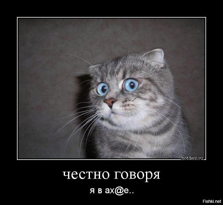 Stoloto?? - My, Fraud, news, Humor, Russia, Longpost