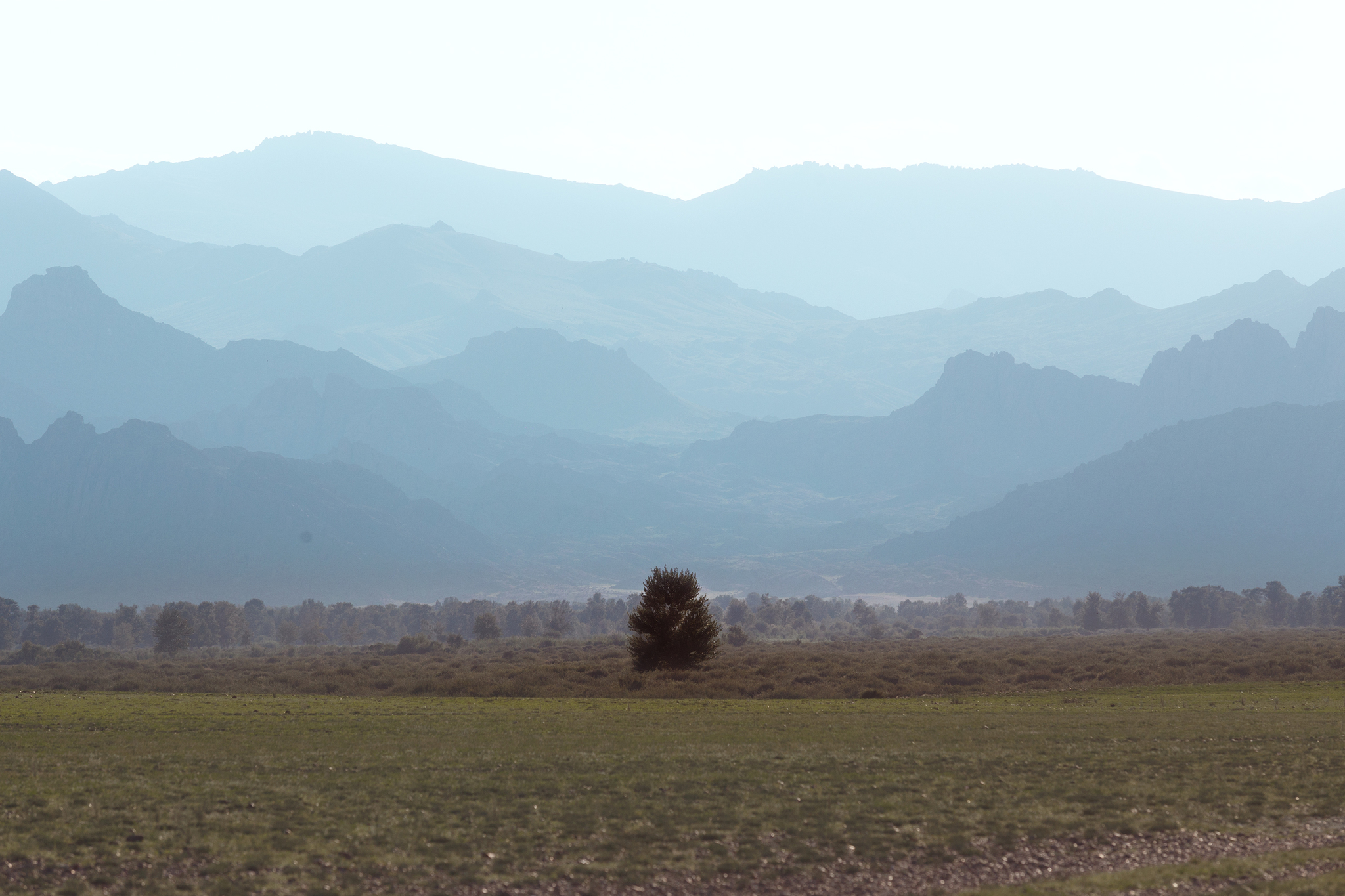 Diversity of Mongolia - My, Mongolia, Altai, Nature, Landscape, The mountains, Desert, Travels, Photographer, Longpost, Altai Republic