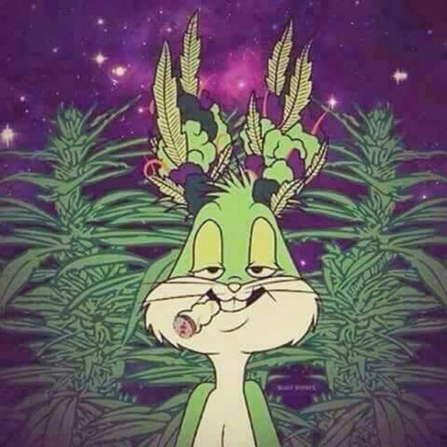 Кролики и марихуана есть зависимость марихуаны