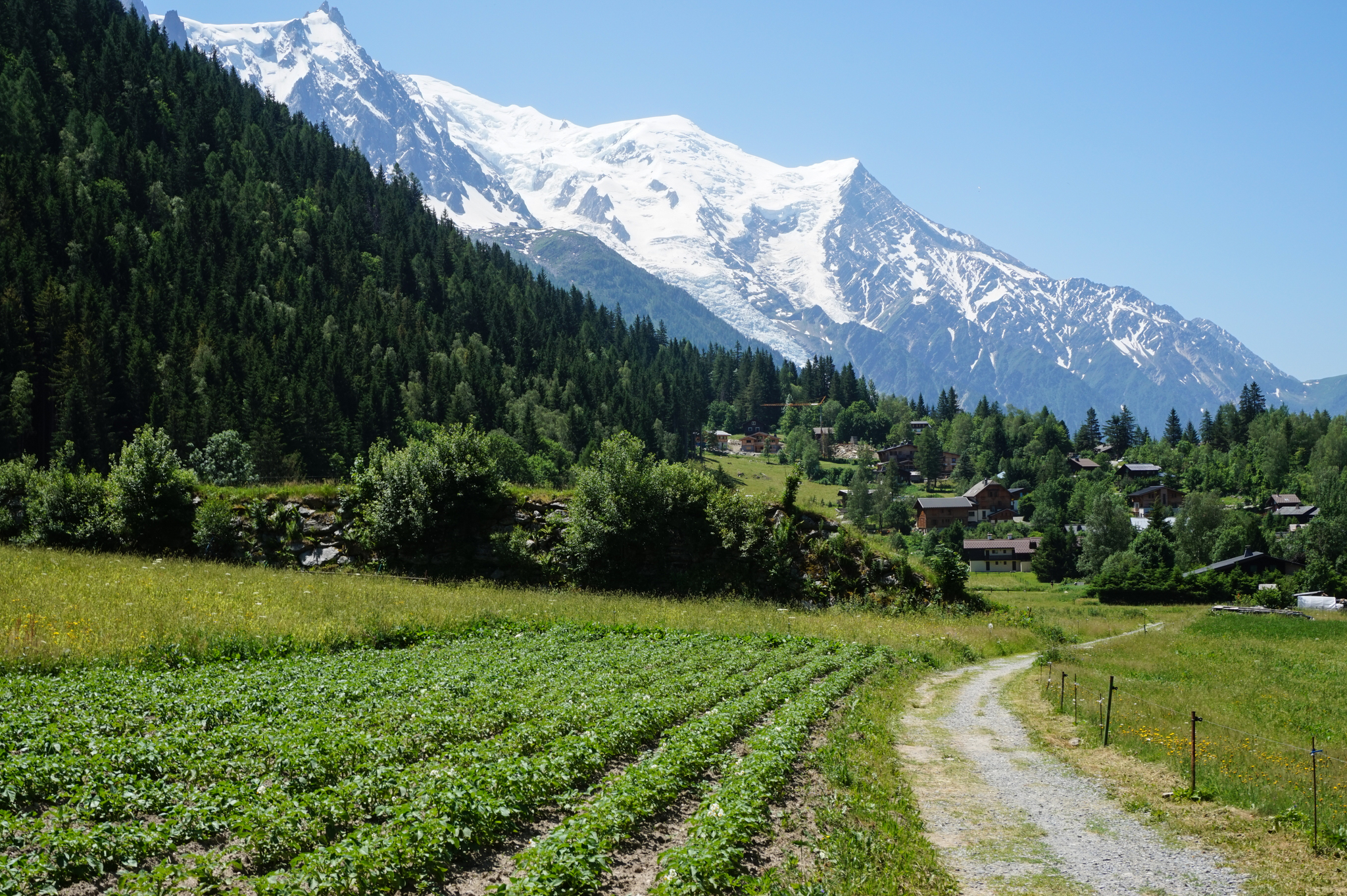 Haute Route или от Монблана к Маттерхорну. День первый. - Моё, Поход, Палатка, Горы, Шамони, Монблан, Длиннопост