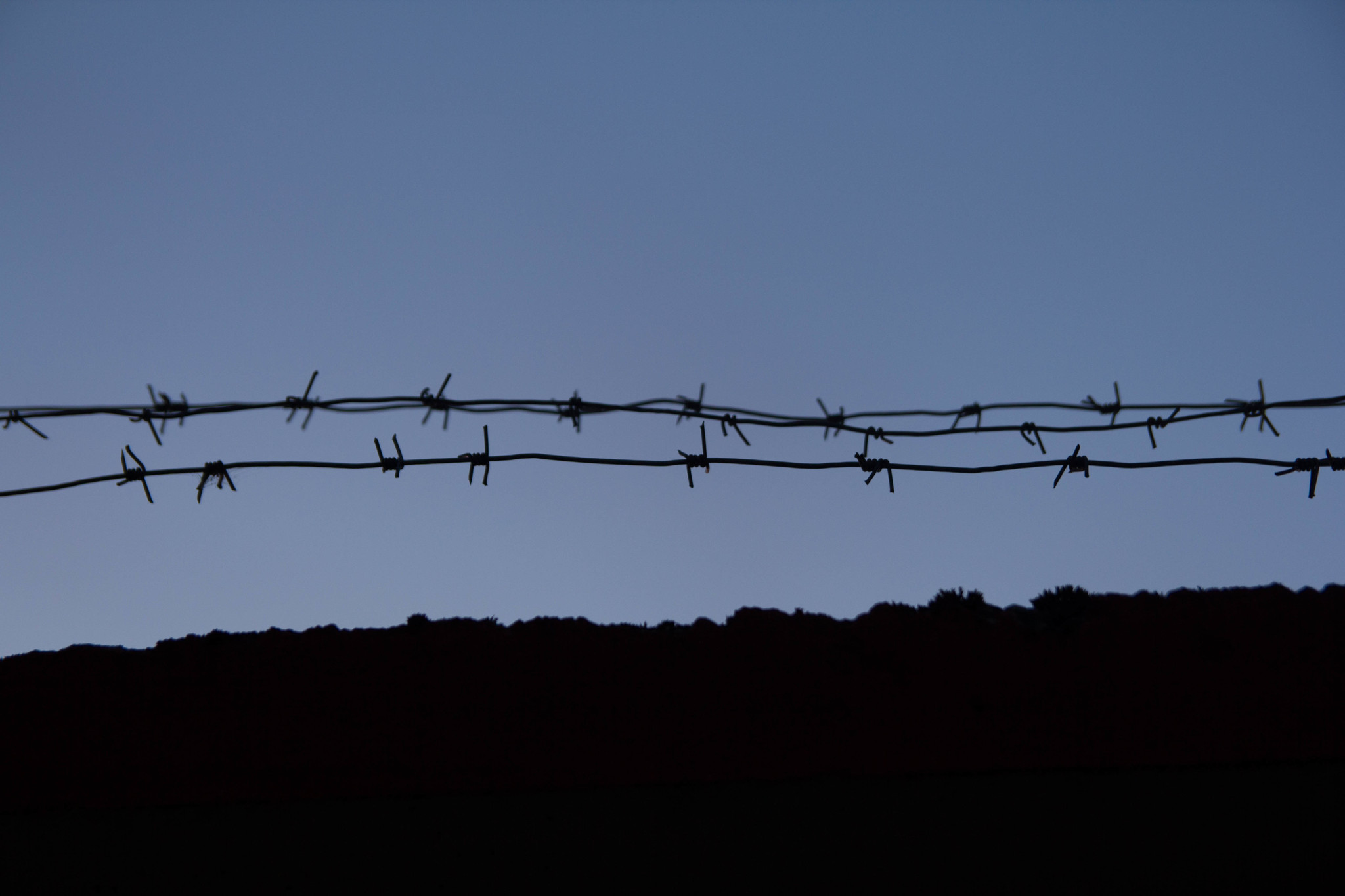 I'm sitting behind bars, in a damp dungeon... - My, Beginning photographer, Walk, Silhouette, Sunset