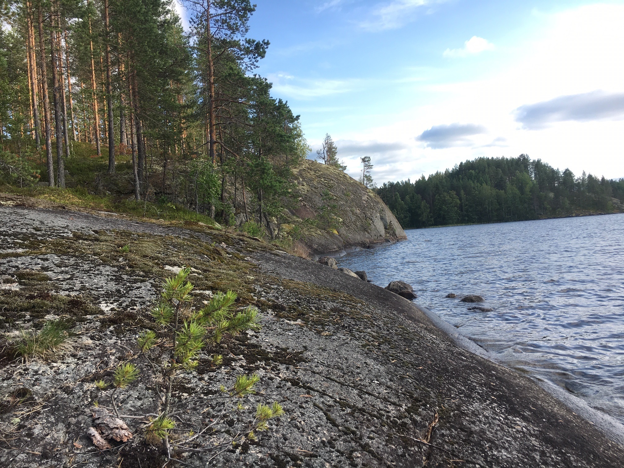 A short trip on a motorcycle in Finland. - My, Longpost, Travels, Moto, Nature, The photo, Tent, Finland