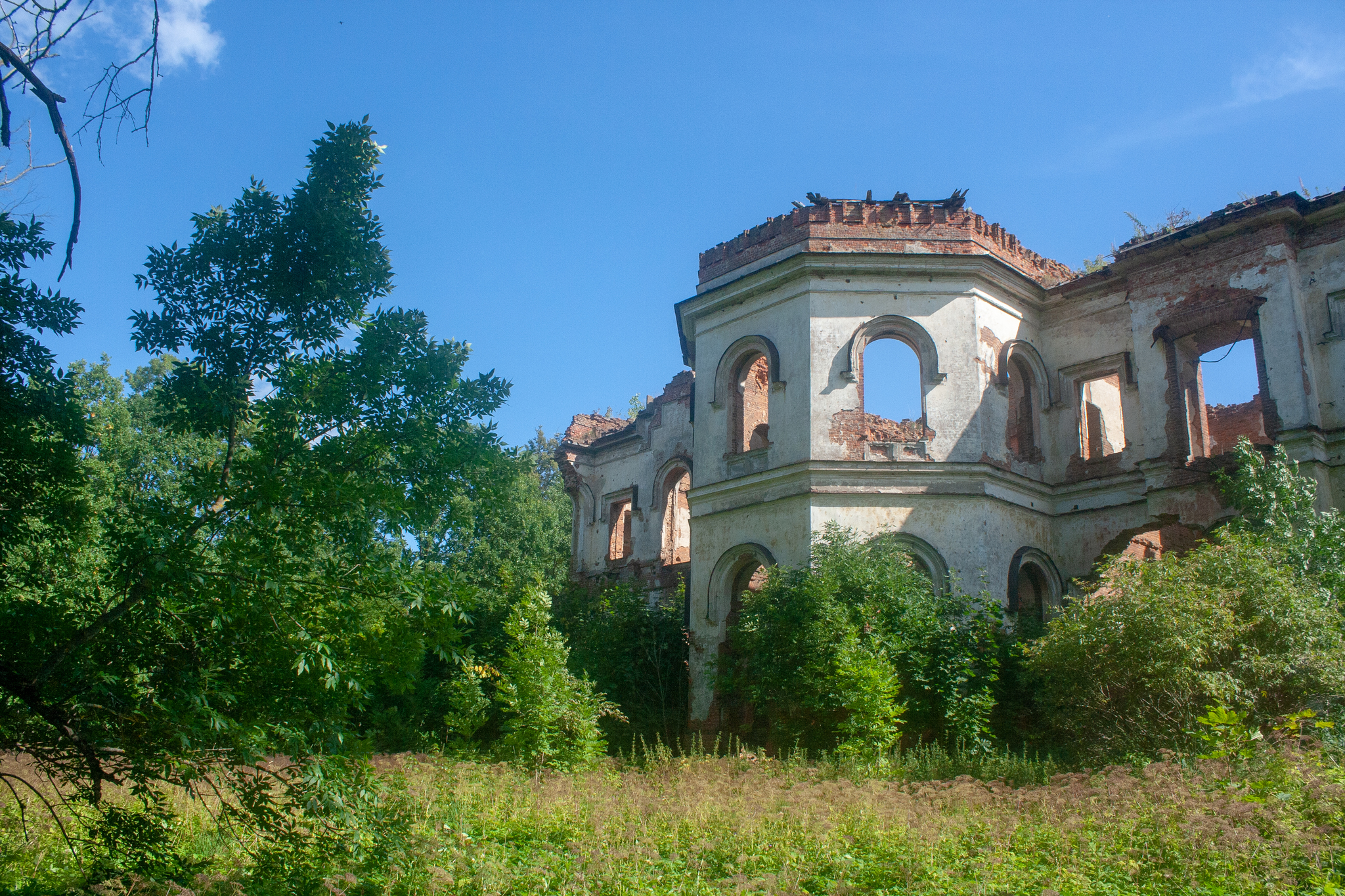 Заросший парк, а в нём старинный дом - разрушенная усадьба-дворец в деревне  Гостилицы. | Пикабу