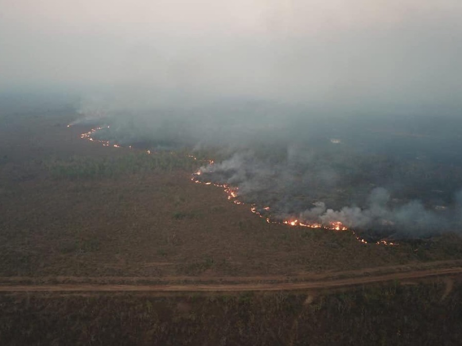 Large-scale natural fires in the Amazon (Brazil) - Amazon, Brazil, Fire, Disaster, Summer, The photo, Longpost