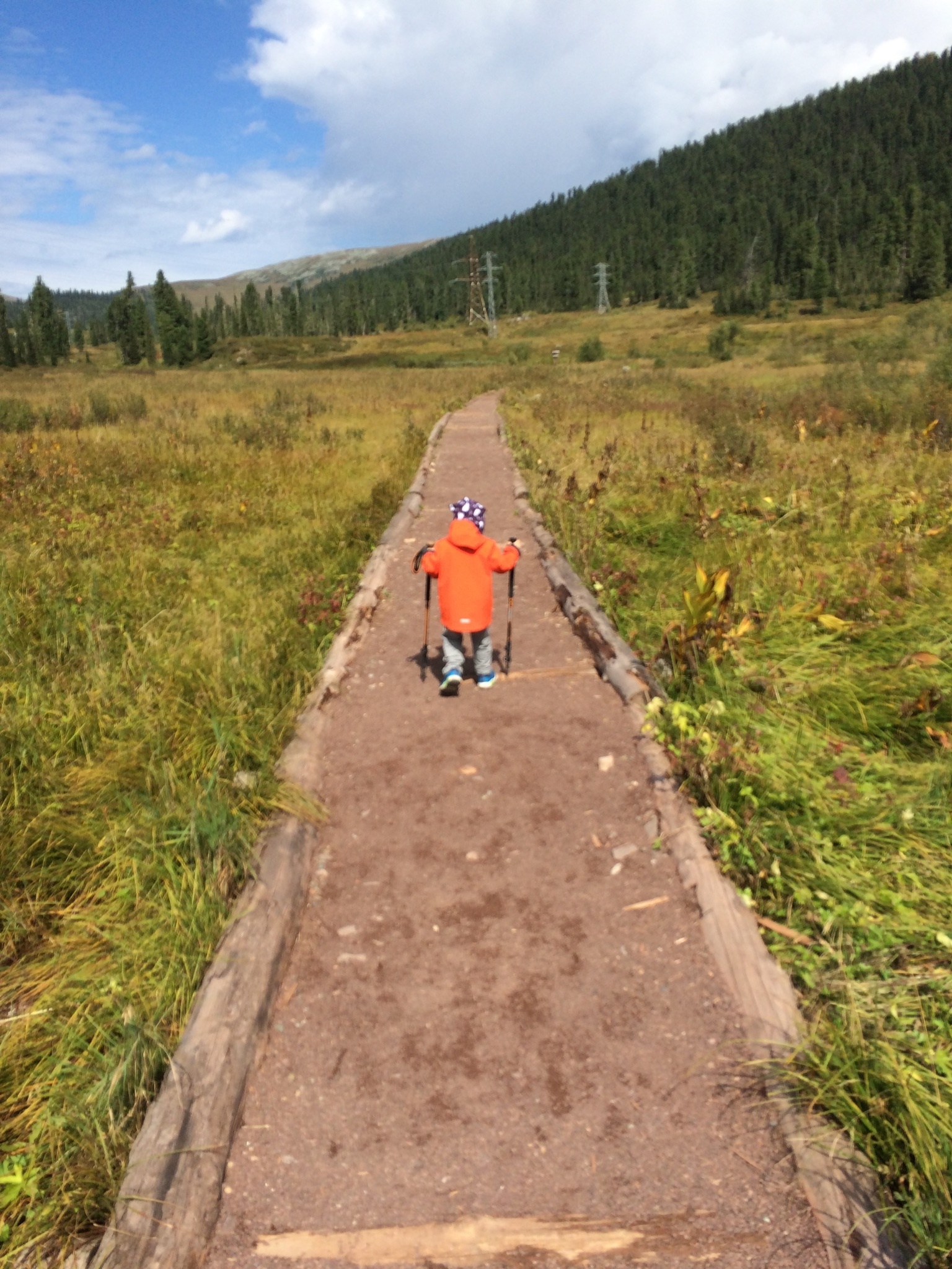 Way home. - My, Travels, Children, Kazakhstan, Russia, Road, Driver, Longpost