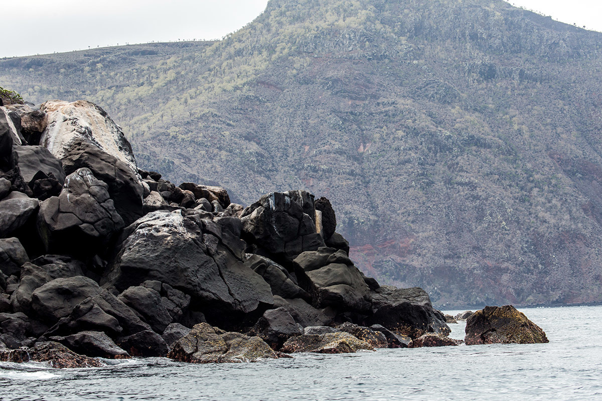 Galapagos. - My, Galapagos Islands, Sea, Snorkeling, Travels, Longpost