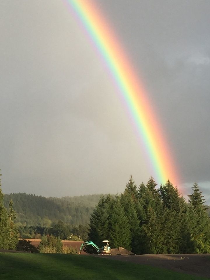 Rainbow | Пикабу