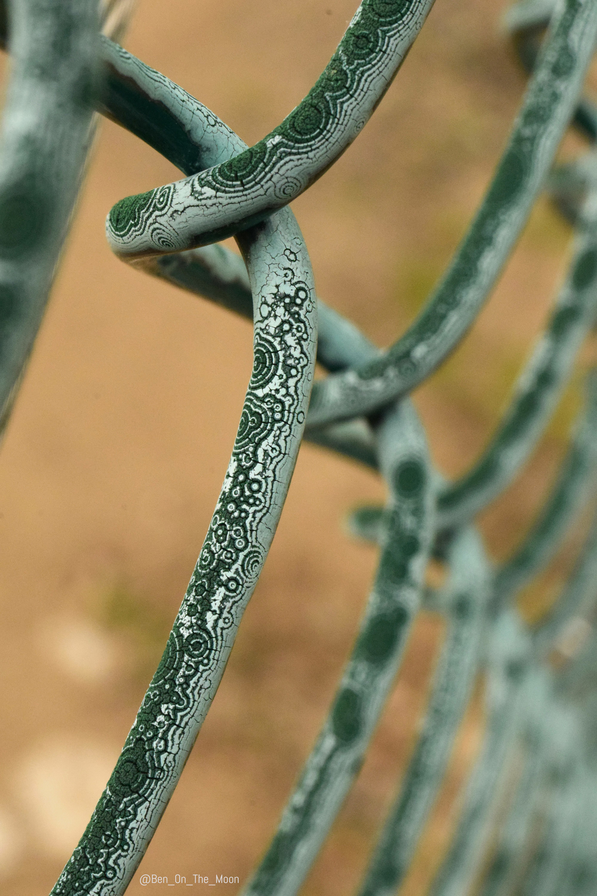 Amazing nearby - Net, Netting, Fence, Patterns, Twitter, Longpost